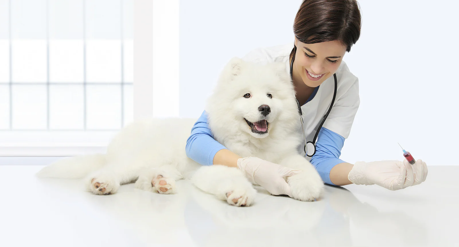 Proactive Care, Happier Pets
